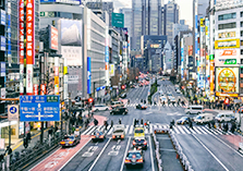 事業領域