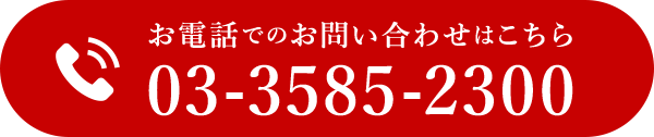03-3585-2300
